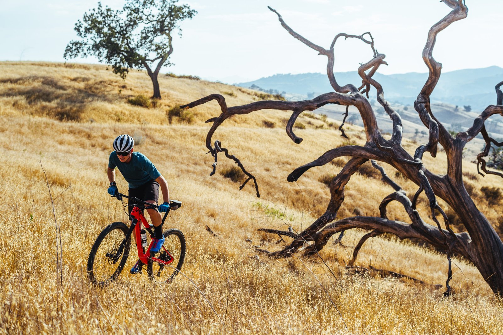 Começar a pedalar? Veja 10 dicas para ir hoje mesmo