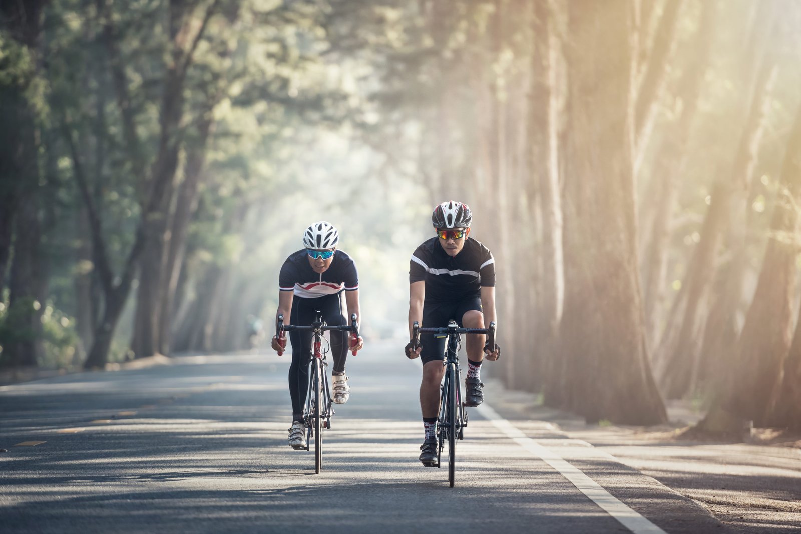 Vocabulário da bike Dicionário do ciclista Brutuguês